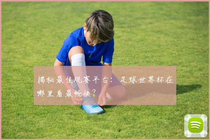 揭秘最佳观赛平台：足球世界杯在哪里看最畅快？