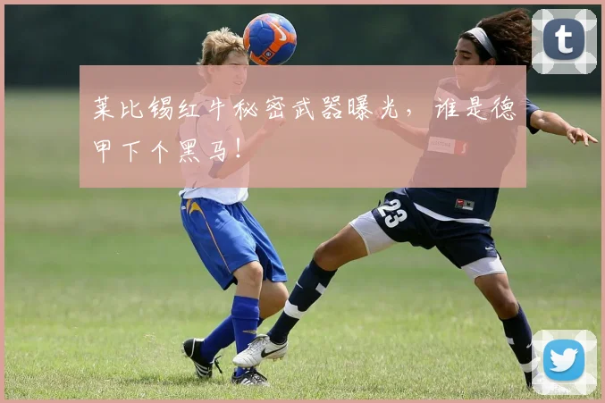 莱比锡红牛秘密武器曝光，谁是德甲下个黑马！