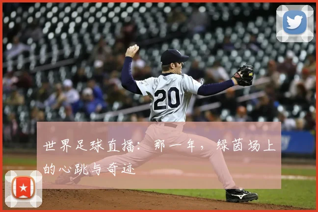 世界足球直播：那一年，绿茵场上的心跳与奇迹